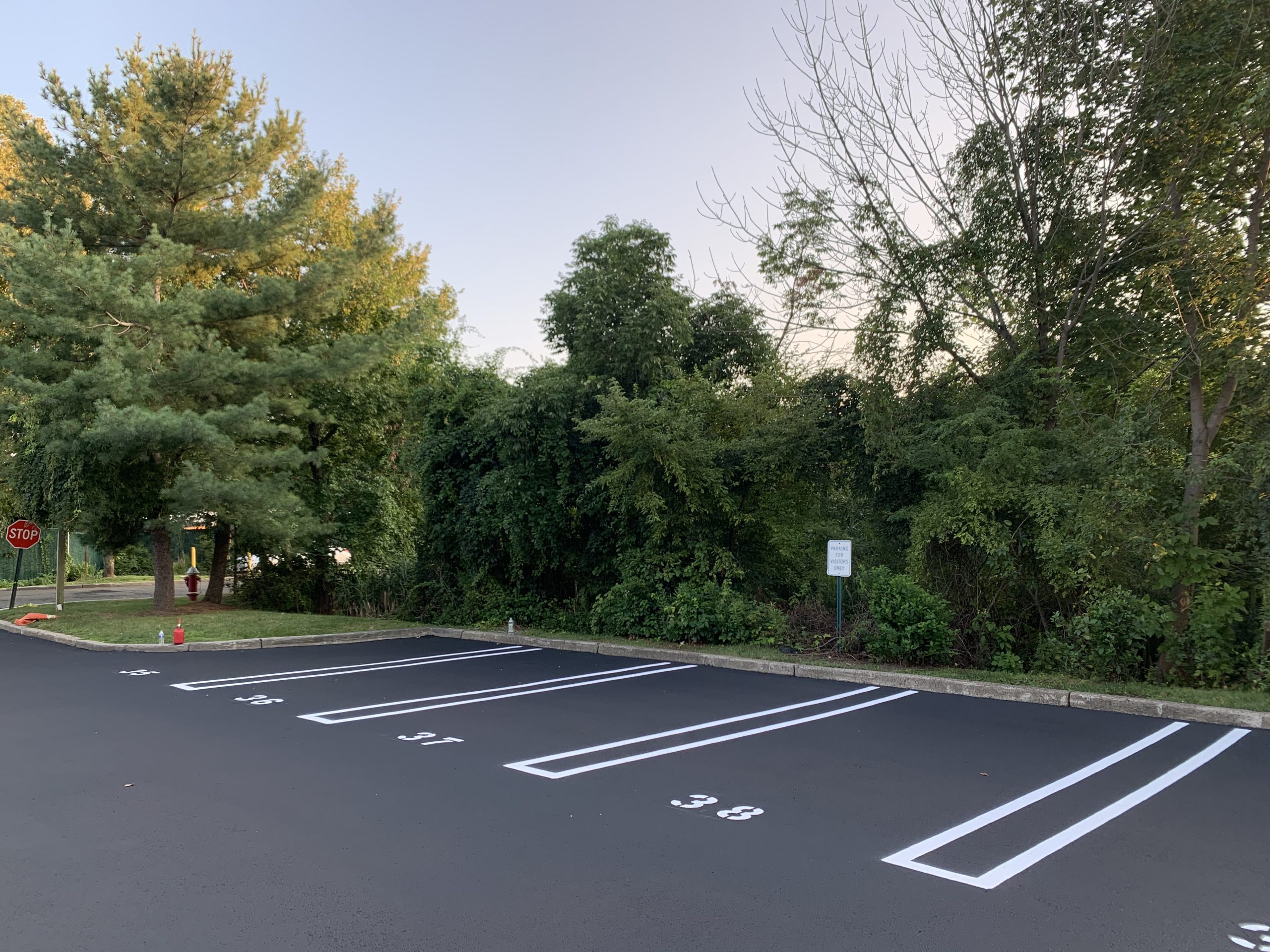 Newly sealed and striped parking lot