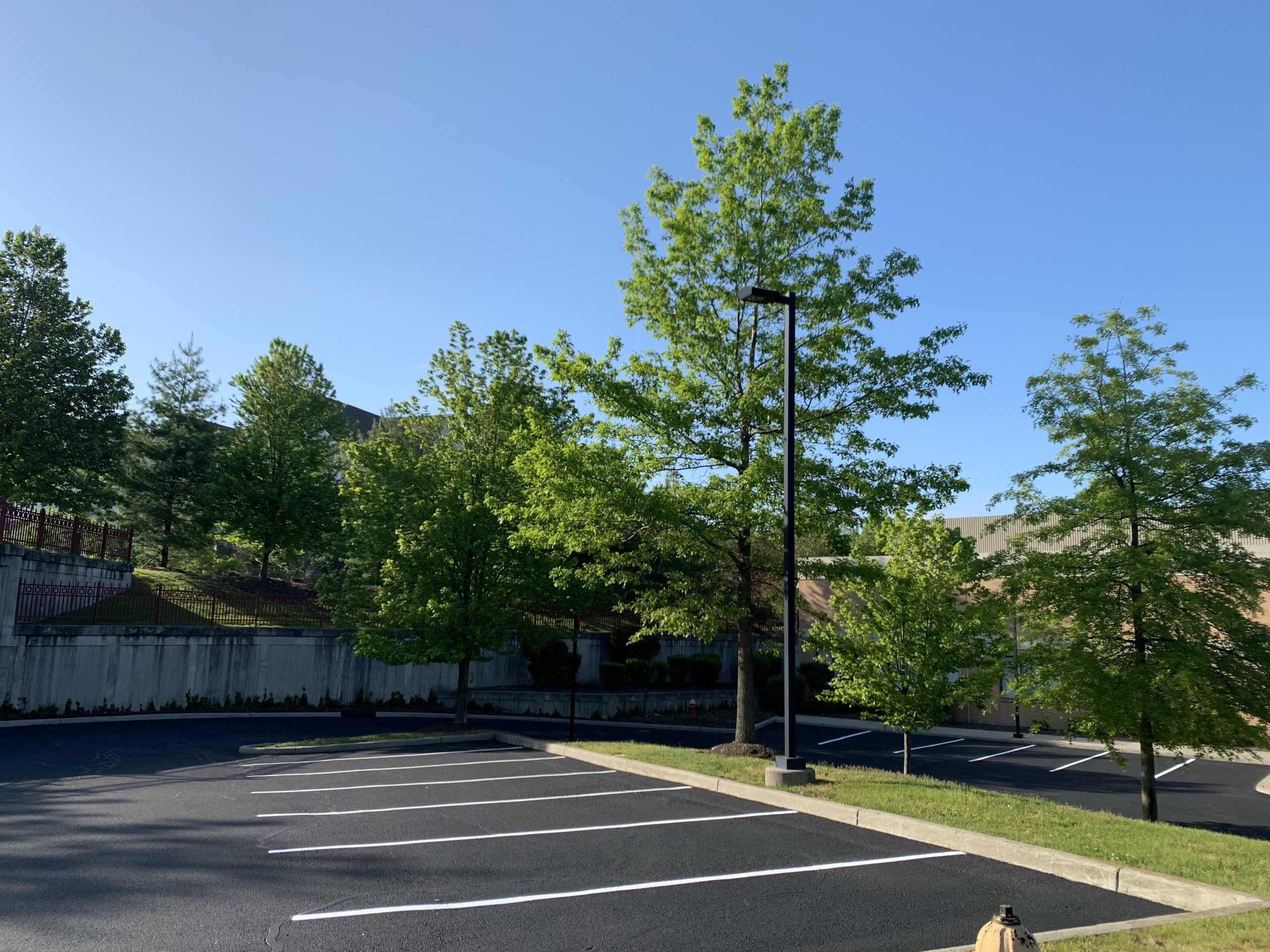 Freshly paved and striped parking lot